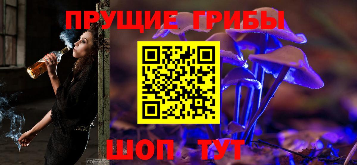 где купить наркотик  Вход с VPN  Зеленокумск  Галлюциногенные грибы мицелий 